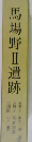 馬場野 2 遺跡