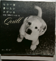 もう一度逢いたい犬がいる  特別展「盲導犬クイールの一生」