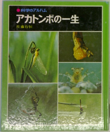 科学のアルバム  アカトンボの一生