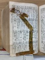 新修漢和大字典