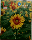 しぜん　7　 ひまわり