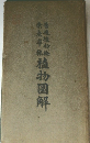 植物圖解