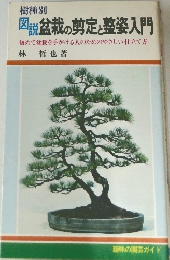 図説盆栽の剪定と整姿入門  初めて盆栽を手がける人のためのやさしい仕立て方