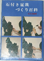 石付き盆栽づくり百科