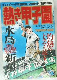 熱き甲子園