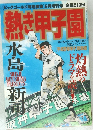 熱き甲子園