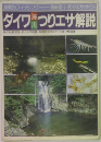 ダイワ海川つりエサ解説