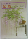 カラー園芸入門  盆栽