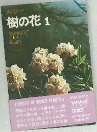 カラー  樹の花 1