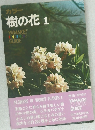 カラー  樹の花 1
