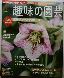 趣味の園芸　2012年1月号