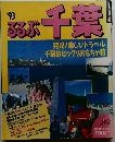 るるろぶ千葉　1993年