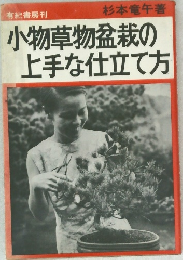 小物草物盆栽の上手な仕立て方