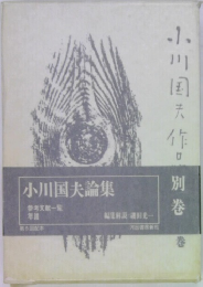 小川国夫論集　別巻