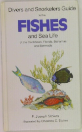 FISHES  and Sea Life