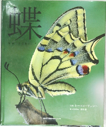 蝶