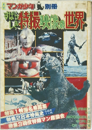 マンガ少年 別冊 すばらしき特撮映像の世界