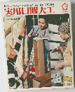 実用日曜大工
