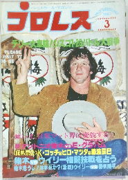 プロレス　3