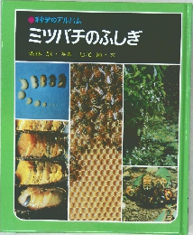 科学のアルバム　ミツバチのふしぎ