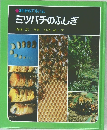 科学のアルバム　ミツバチのふしぎ