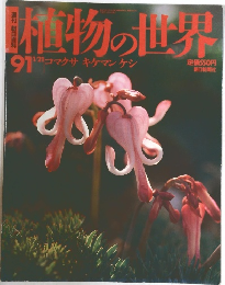 植物の世界　　1991年1月号　
