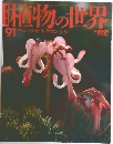 植物の世界　　1991年1月号　