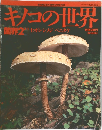キノコの世界　菌界2