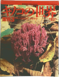 ハナクチマイタケ　3