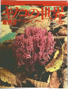 ハナクチマイタケ　3