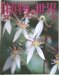 キノコの世界 57　5/21