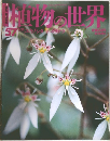 キノコの世界 57　5/21