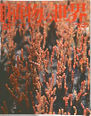 週刊朝日百科　植物の世界　1981年11/5号
