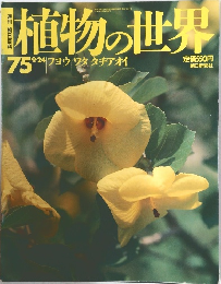 週刊朝日百科 植物の世界 1975年9/24号 フヨウ ワタ タチアオイ
