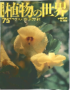 週刊朝日百科 植物の世界 1975年9/24号 フヨウ ワタ タチアオイ
