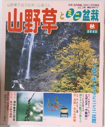山野草とミニ盆栽 2002年11月号 Vol.34