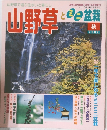 山野草とミニ盆栽 2002年11月号 Vol.34