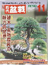近代　盆栽　2005年11月号　