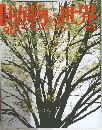 植物の世界　90