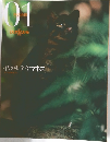 西表山猫　　01