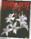 植物の世界2022年9/11号　アサガオ　ヒルガオ　モツガシワ