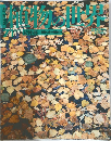 週刊朝日百科 上物の世界　1971年8/27号　夏緑林一帯の森の植物たち