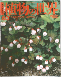 週刊朝日百科「植物の世界」 1963年7/2号 エリカ アセビ ホツツジ