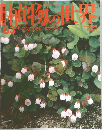 週刊朝日百科「植物の世界」 1963年7/2号 エリカ アセビ ホツツジ