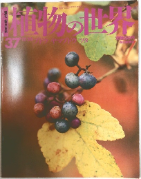 植物の世界　37号　