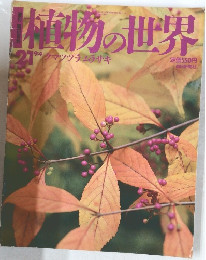 植物の世界　21　クマツヅラムラサキ