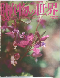 週刊朝日百科　34号