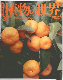 週刊朝日百科　31号