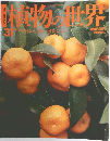 週刊朝日百科　31号