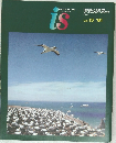 is　Vol. 13　1981